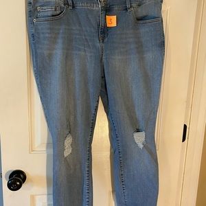 Torrid Denim
